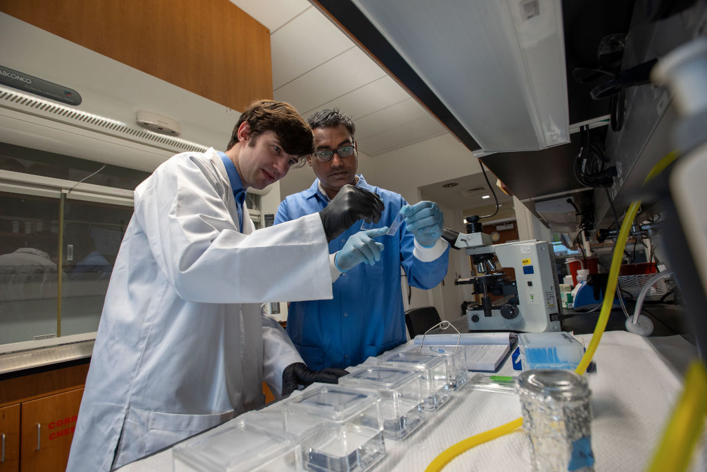 Two male students in the Smith Lab conducting research